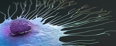 Tumor Markers: How Clinicians Use CA19-9, CA125 and CEA in 2026