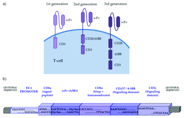 Different generations of CAR-T cells