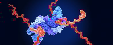 Enzymes Designed for Your Assay – Not a One-Size-Fits-All Approach