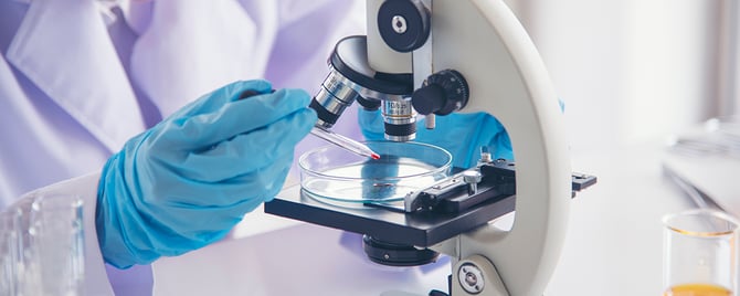 Hidden Markers: Rare Cancer Biomarkers in Diagnostics