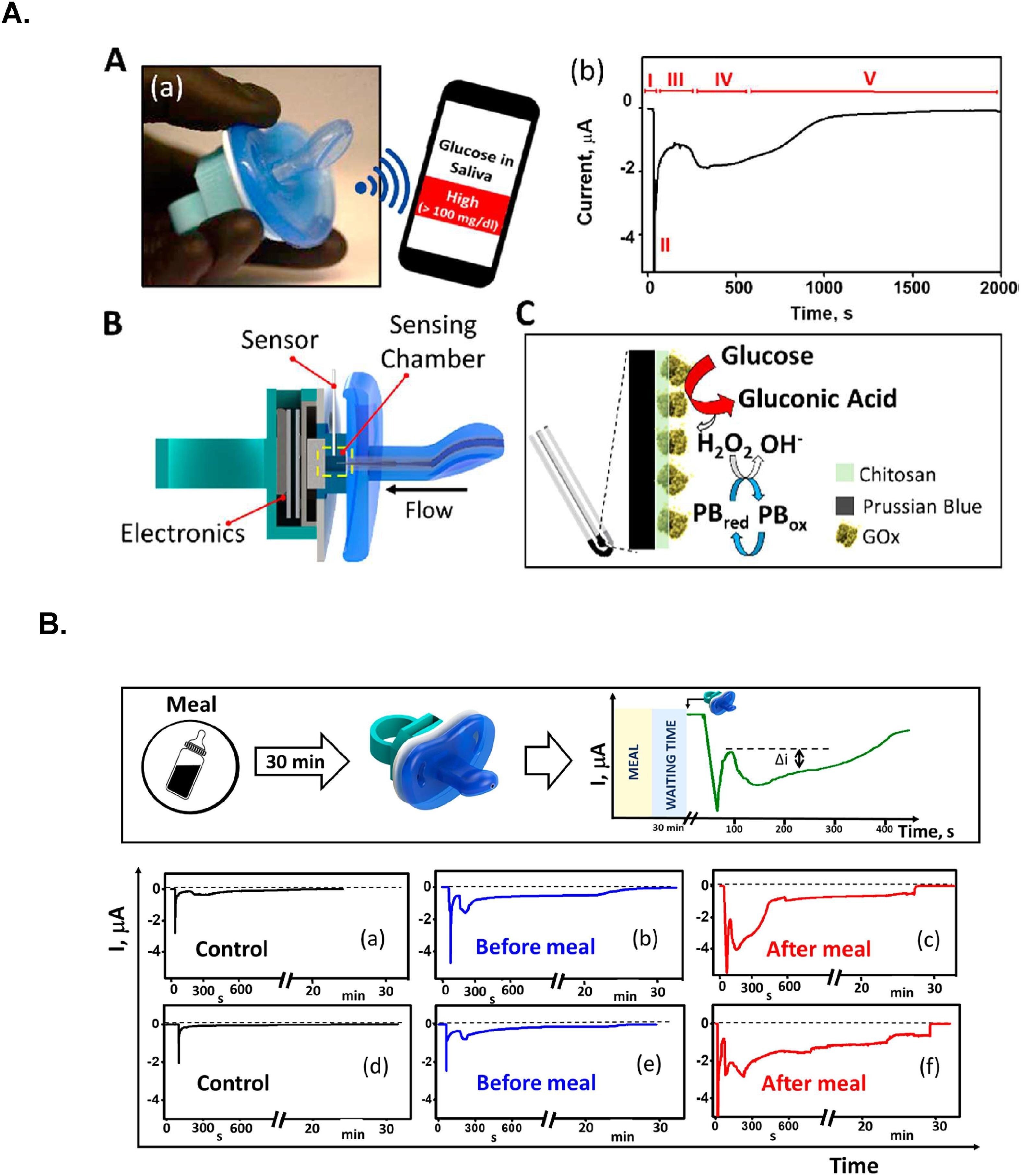 Overview of the glucose pacifier sensor