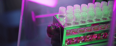 WHX Labs Dubai 2026 | February 2026